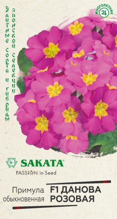 Примула Данова розовая гавриш