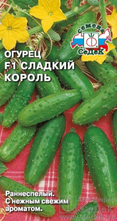 584