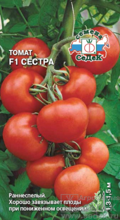 tomat_sestra_f1
