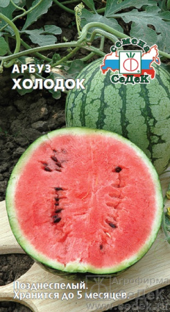 arbuz_kholodok