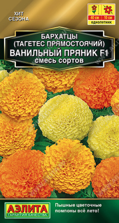 3d6b6d55_2e47_11e9_80d8_0cc47adb9c64_4ed20dc7_ab8c_11ed_8114_0cc47adb9c64