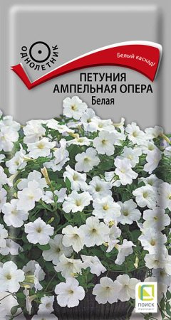 амп