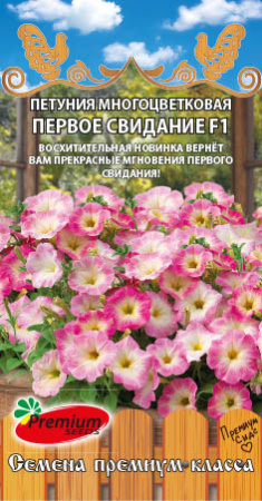 первое свидание