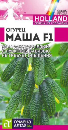 IMG-9737