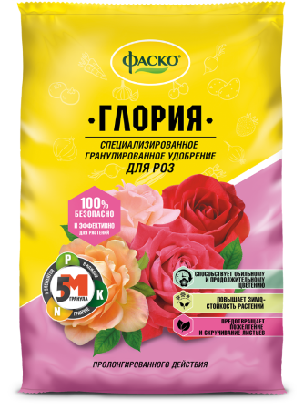 глория