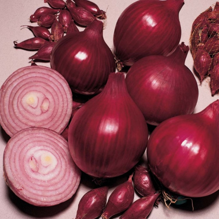 IMG-7477
