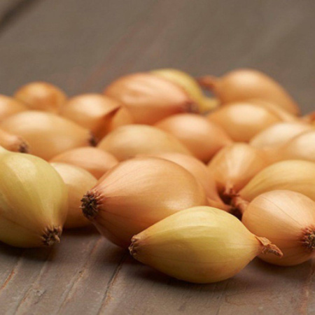 photo_2022-08-31 16.41.53