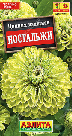 Цинния Ностальжи аэлита