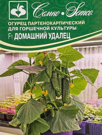 1458