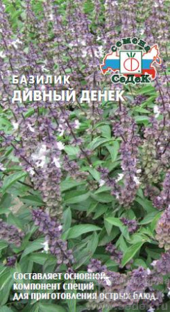 bazilik_divnyy_denyek
