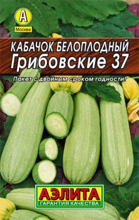 538
