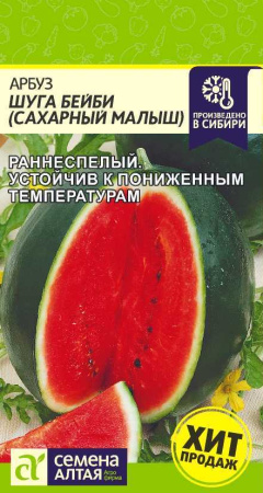 IMG-9009
