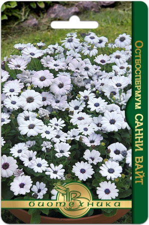 D8E6B174-AA7A-4151-BBD6-825F4EE25472