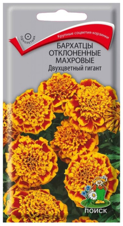бархатцы двухцветный гигант поиск