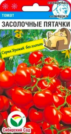 засолочные пятачки