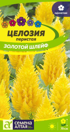qb3z9ji88uuk5qef39msxudm95cteuc0