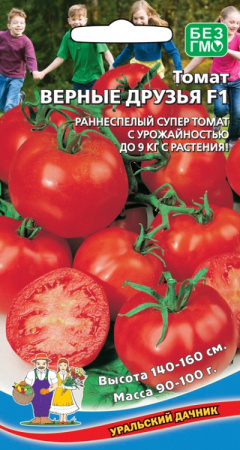 tomat-vernye-druzya-f1