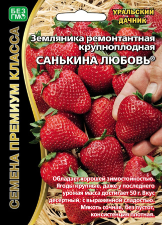 zemlyanika-remontantnaya-krupnoplodnaya-sankina-lyubov