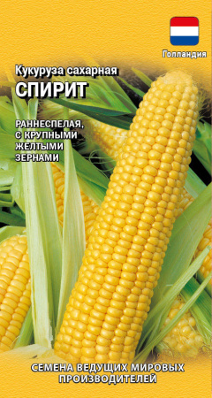 спирит