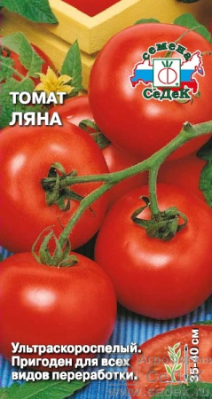 1234