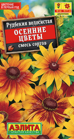 рудбекия осенние цветы аэлита