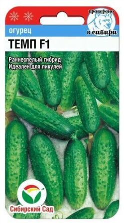 темп