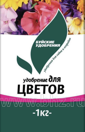 IMG-0074