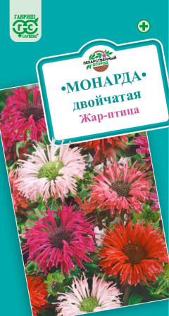 Монарда двойчатая Жар-птица гавриш