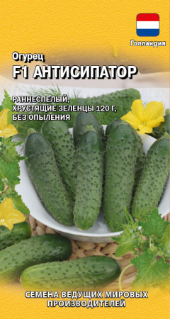 антисипатор