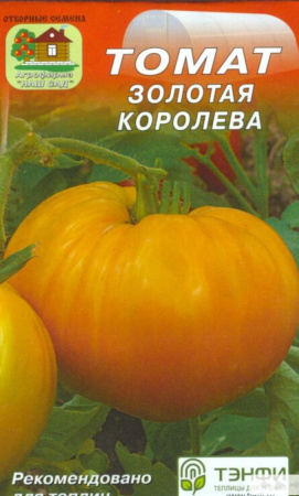 IMG-0902