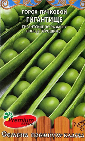 fkkdnkmlhng59xlnpx7ad9xvtkn8adwv (1)