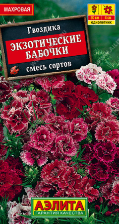 Гвоздика Экзотические бабочки аэлита