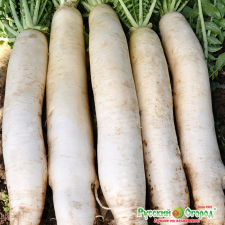 9a89ff71fadec5df1d0c14d234a4a899