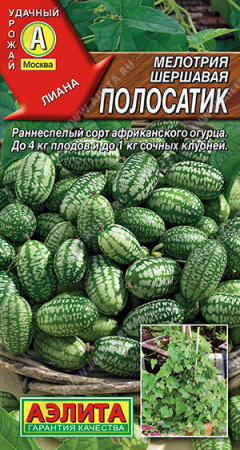 полосатик