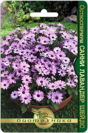 1FCC4CFB-F181-4FC5-9050-5B992BA5014A