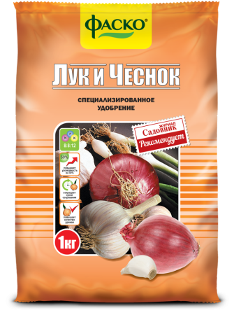 лук чеснок