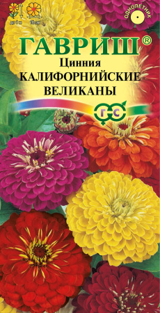 Цинния Калифорнийские великаны гавриш