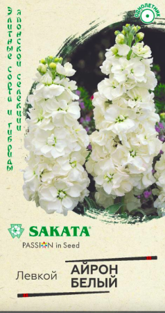 айрон белый