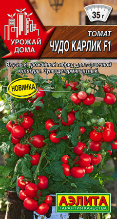 чудо карлик