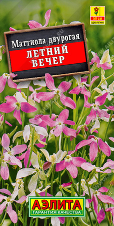 Маттиола Летний вечер аэлита