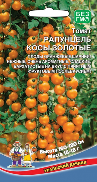 tomat-rapuncel-kosy-zolotye
