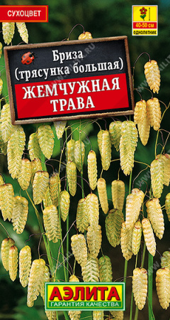 Бриза Жемчужная трава аэлита