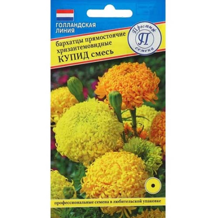 бархатцы купид престиж