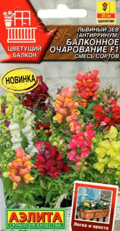 339