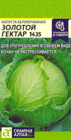 IMG-9555