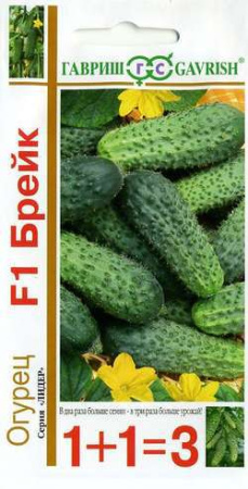 1364