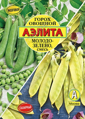 молодо