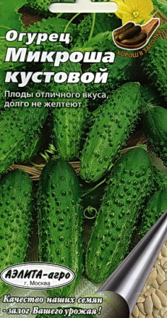 микроша кустовой