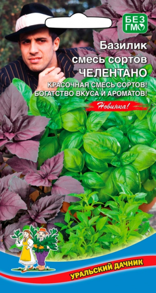 bazilik-smes-sortov-chelentano