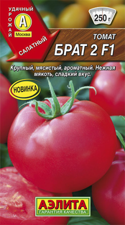 брат 2